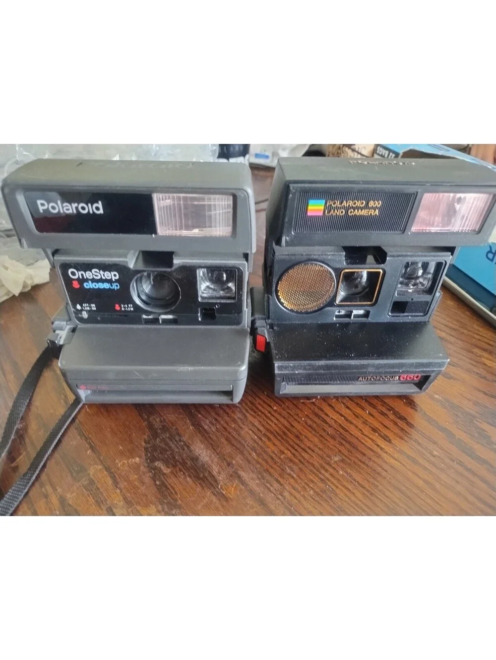 Polaroid 600 land